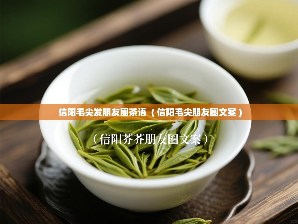  信阳毛尖发朋友圈茶语  ( 信阳毛尖朋友圈文案 )