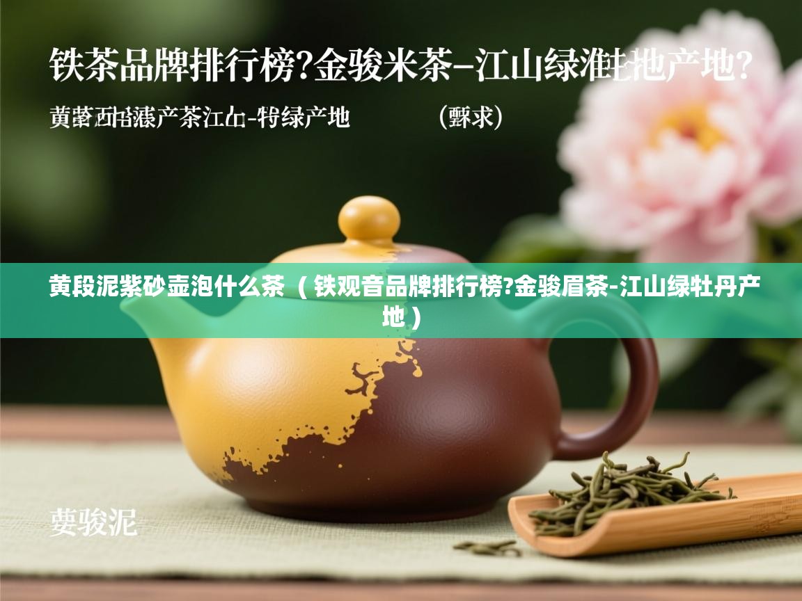 黄段泥紫砂壶泡什么茶  ( 铁观音品牌排行榜?金骏眉茶-江山绿牡丹产地 )