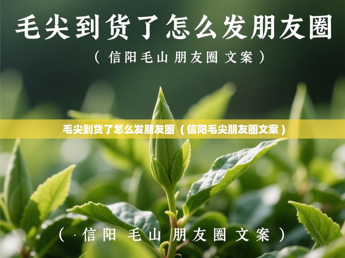  毛尖到货了怎么发朋友圈  ( 信阳毛尖朋友圈文案 )