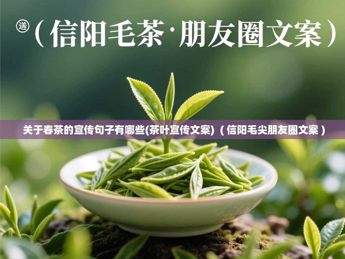  关于春茶的宣传句子有哪些(茶叶宣传文案)  ( 信阳毛尖朋友圈文案 )