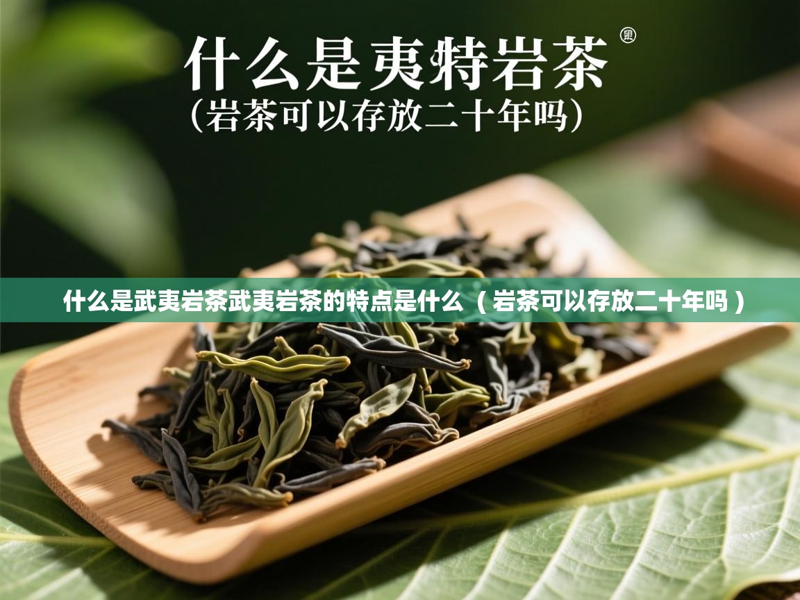  什么是武夷岩茶武夷岩茶的特点是什么  ( 岩茶可以存放二十年吗 )