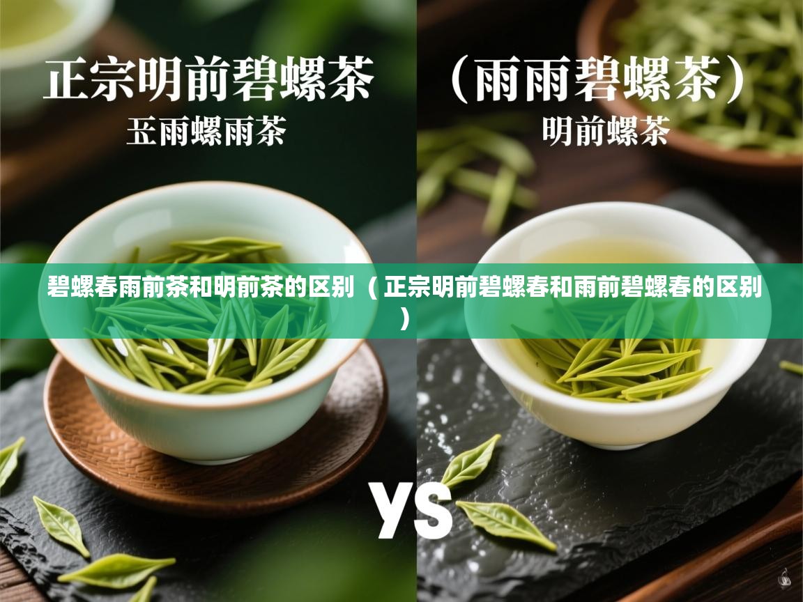  碧螺春雨前茶和明前茶的区别  ( 正宗明前碧螺春和雨前碧螺春的区别 )