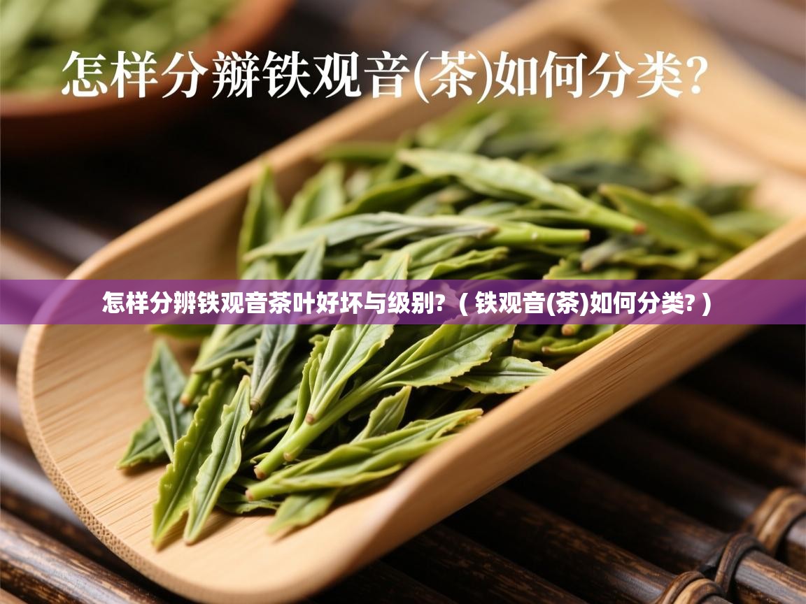  怎样分辨铁观音茶叶好坏与级别?  ( 铁观音(茶)如何分类? )