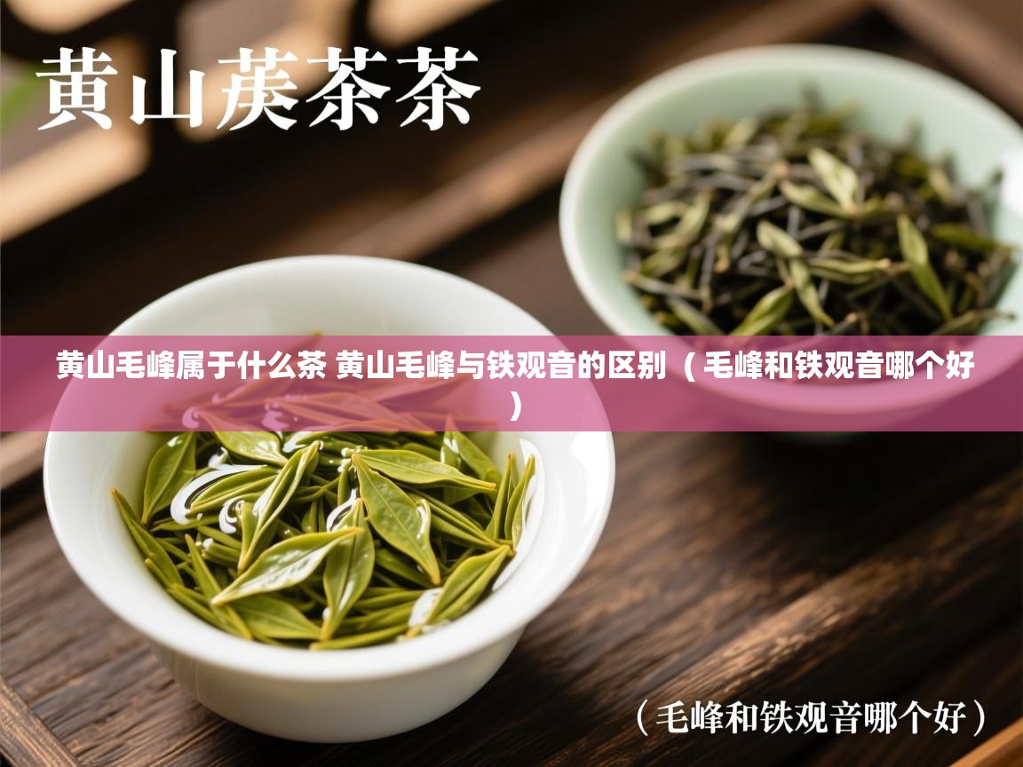  黄山毛峰属于什么茶 黄山毛峰与铁观音的区别  ( 毛峰和铁观音哪个好 )