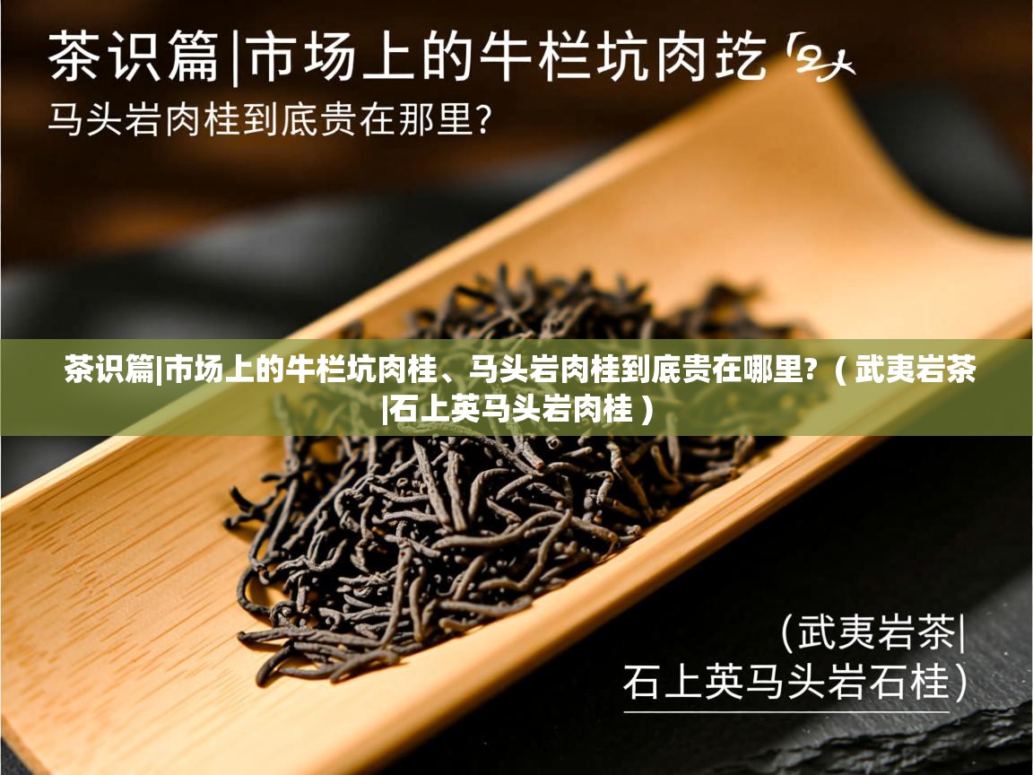  茶识篇|市场上的牛栏坑肉桂、马头岩肉桂到底贵在哪里?  ( 武夷岩茶|石上英马头岩肉桂 )