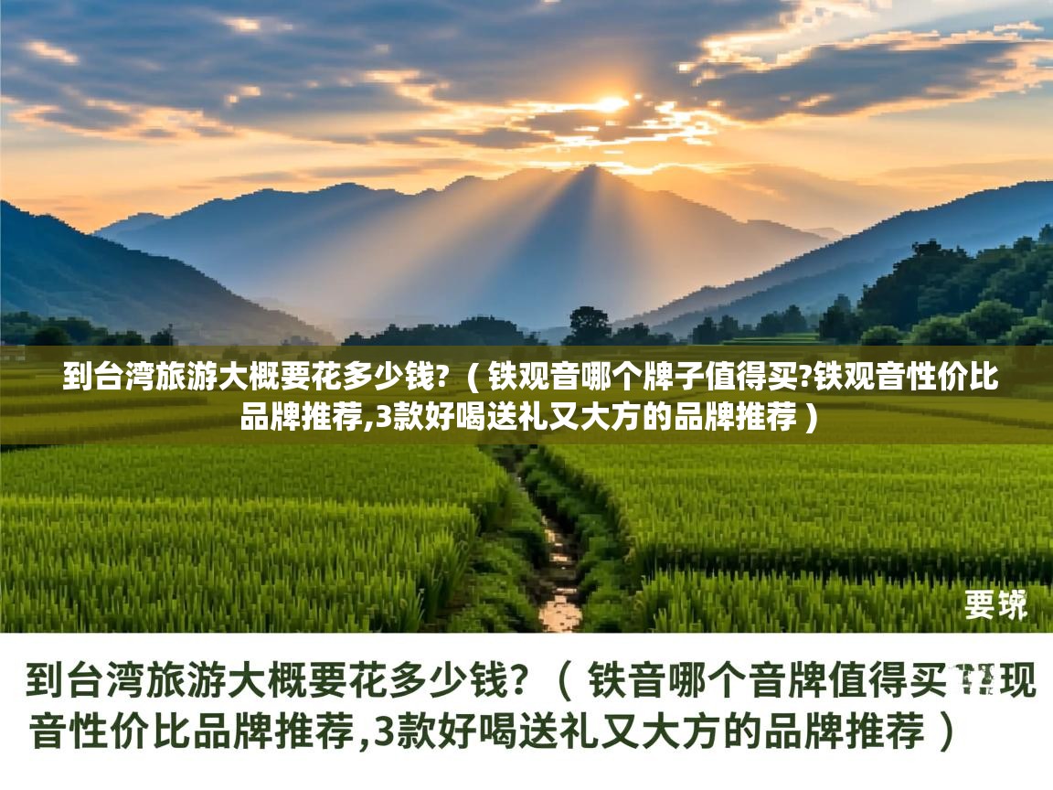  到台湾旅游大概要花多少钱?  ( 铁观音哪个牌子值得买?铁观音性价比品牌推荐,3款好喝送礼又大方的品牌推荐 )