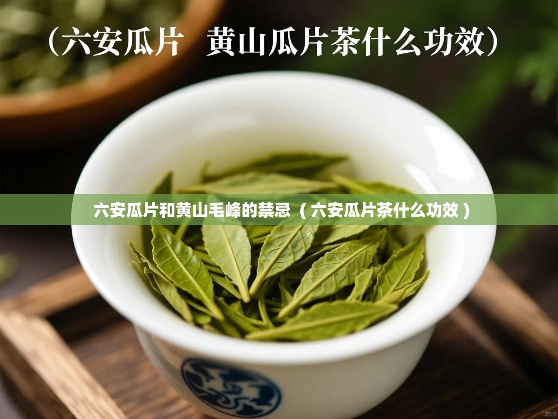  六安瓜片和黄山毛峰的禁忌  ( 六安瓜片茶什么功效 )