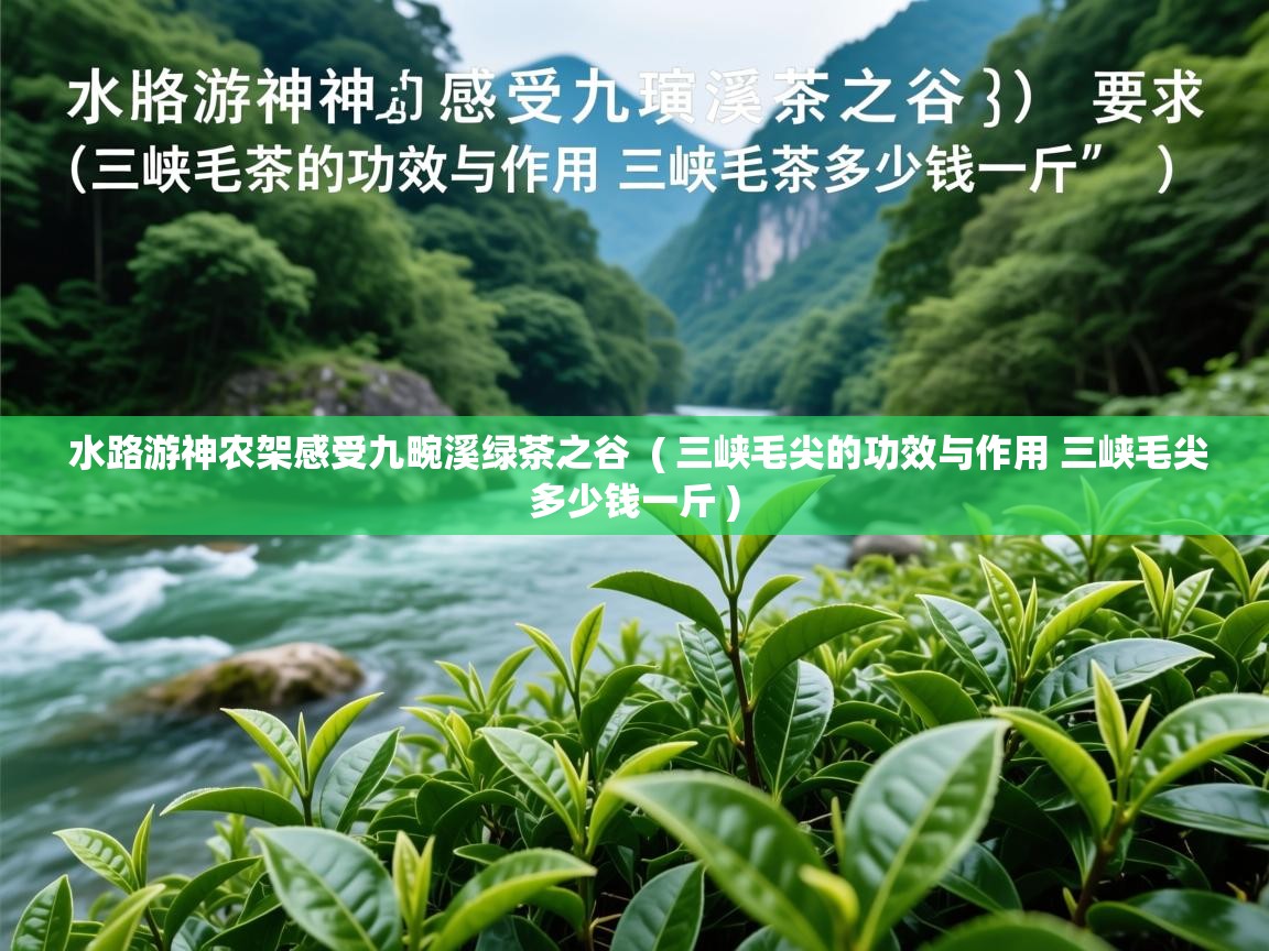  水路游神农架感受九畹溪绿茶之谷  ( 三峡毛尖的功效与作用 三峡毛尖多少钱一斤 )