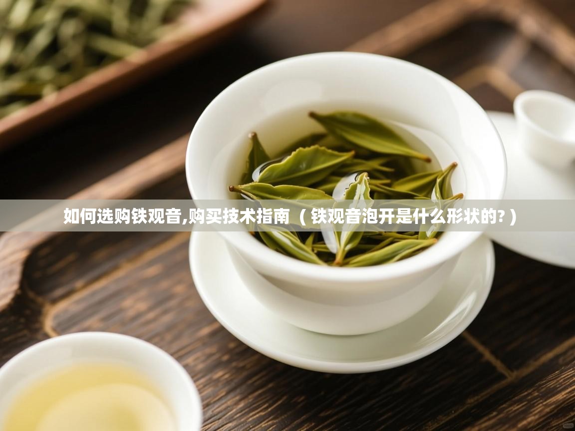  如何选购铁观音,购买技术指南  ( 铁观音泡开是什么形状的? )