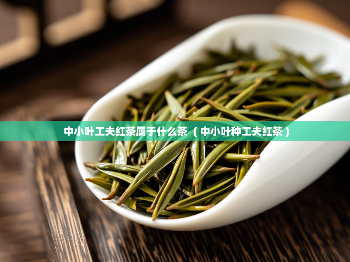  中小叶工夫红茶属于什么茶  ( 中小叶种工夫红茶 )