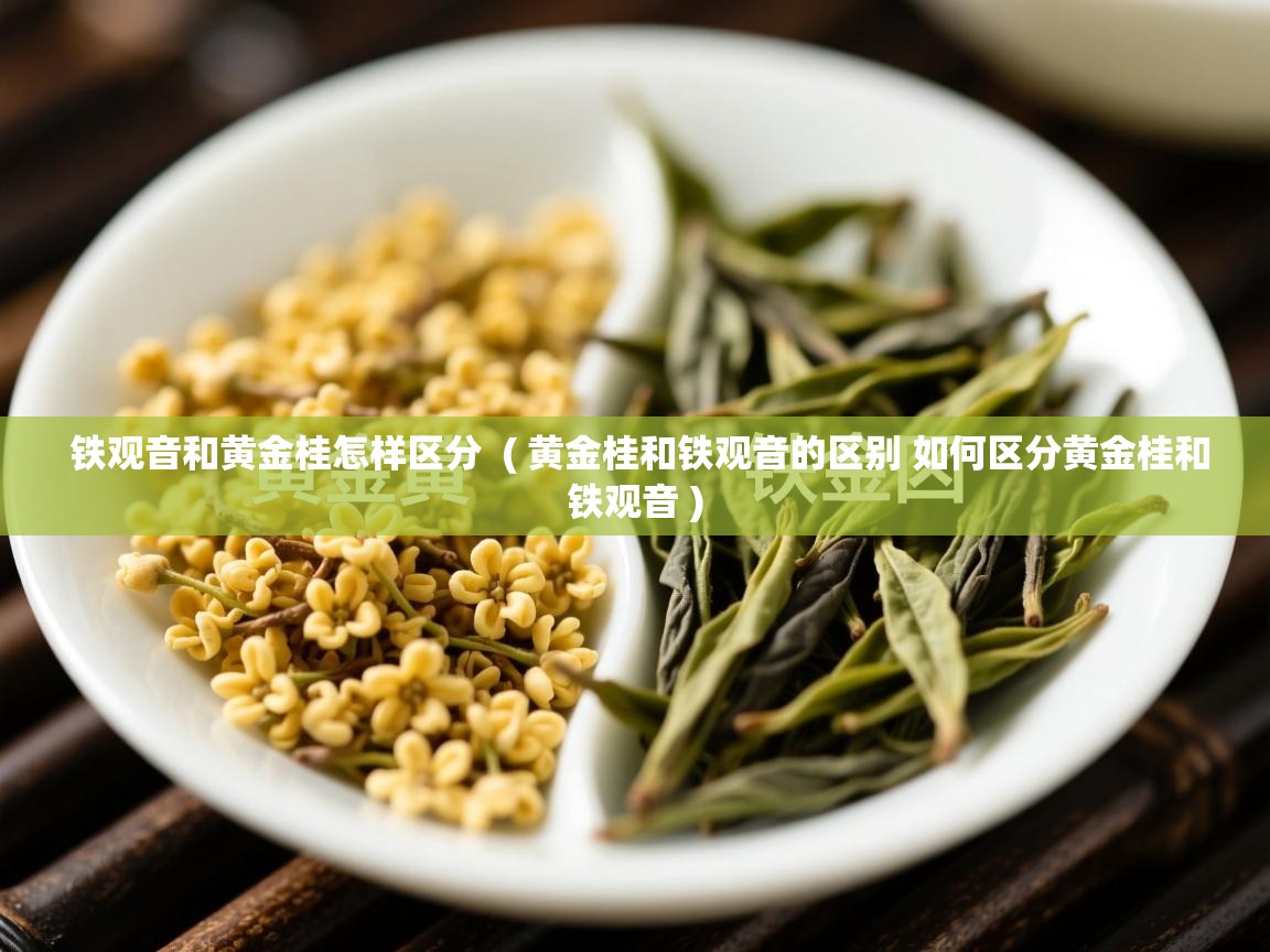  铁观音和黄金桂怎样区分  ( 黄金桂和铁观音的区别 如何区分黄金桂和铁观音 )