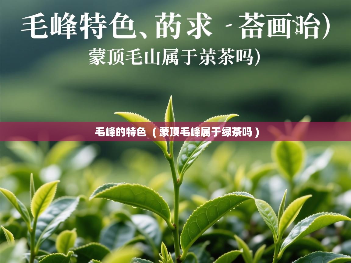  毛峰的特色  ( 蒙顶毛峰属于绿茶吗 )