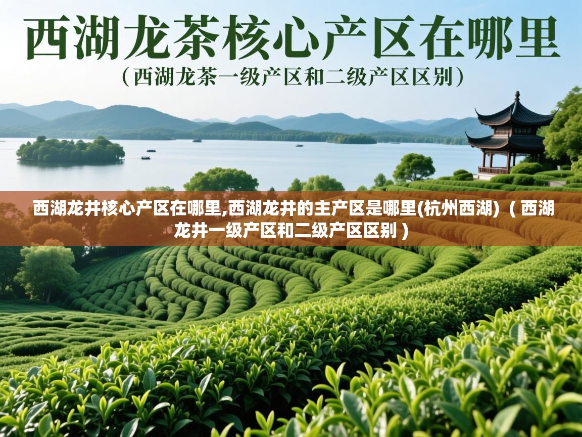  西湖龙井核心产区在哪里,西湖龙井的主产区是哪里(杭州西湖)  ( 西湖龙井一级产区和二级产区区别 )