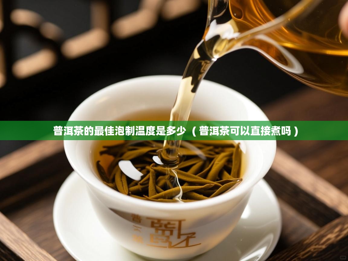  普洱茶的最佳泡制温度是多少  ( 普洱茶可以直接煮吗 )