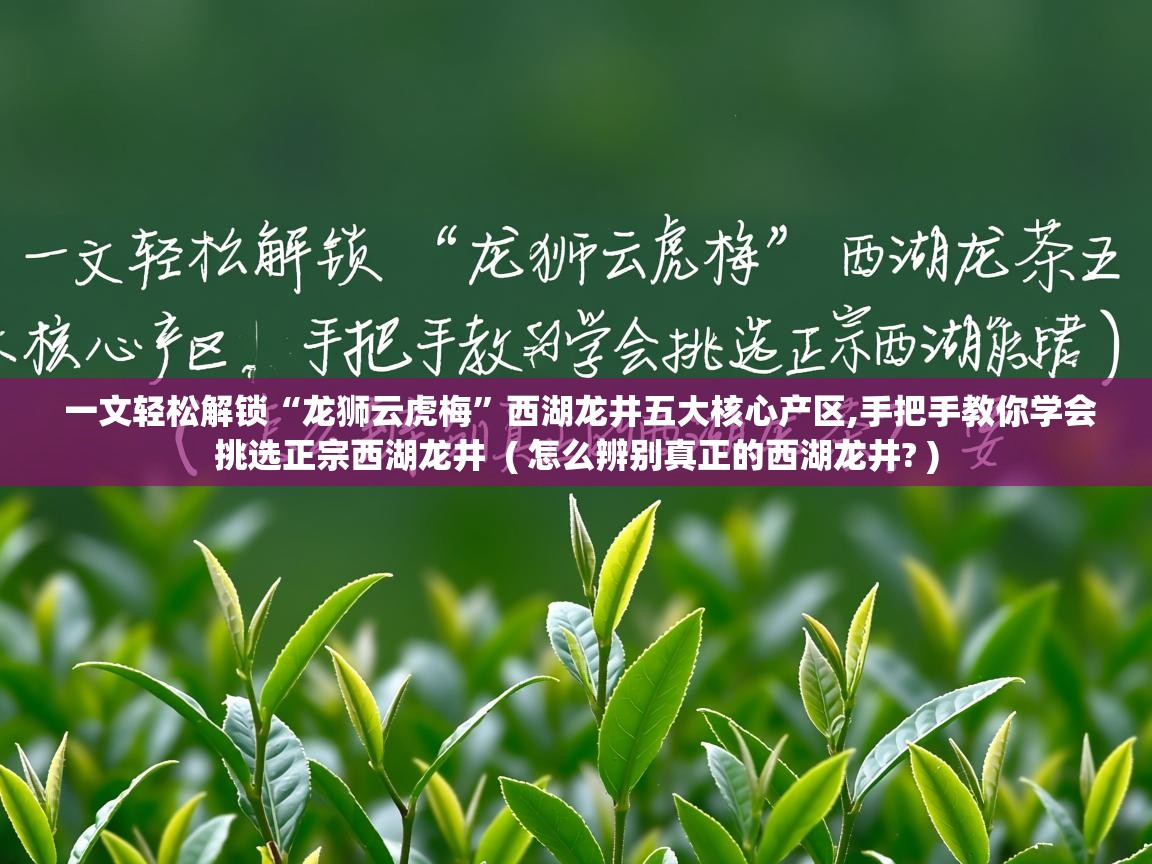  一文轻松解锁“龙狮云虎梅”西湖龙井五大核心产区,手把手教你学会挑选正宗西湖龙井  ( 怎么辨别真正的西湖龙井? )