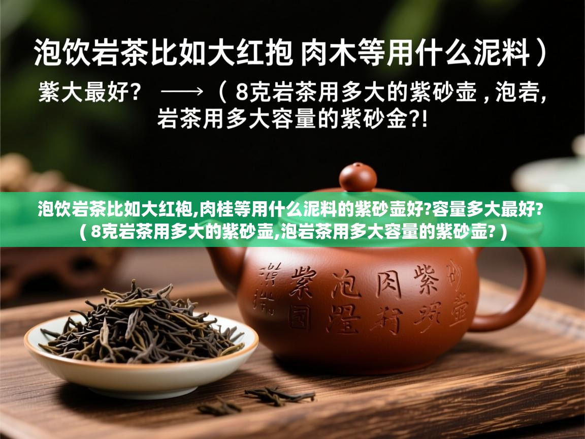  泡饮岩茶比如大红袍,肉桂等用什么泥料的紫砂壶好?容量多大最好?  ( 8克岩茶用多大的紫砂壶,泡岩茶用多大容量的紫砂壶? )