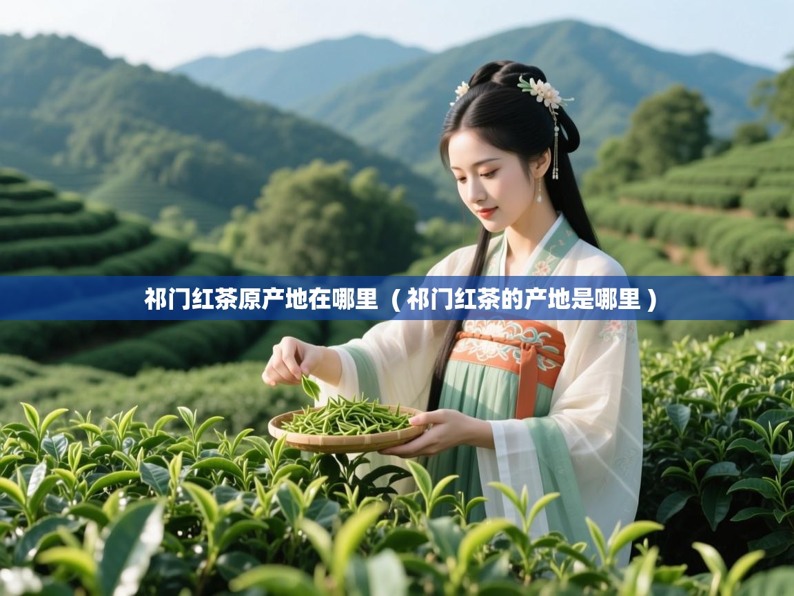  祁门红茶原产地在哪里  ( 祁门红茶的产地是哪里 )