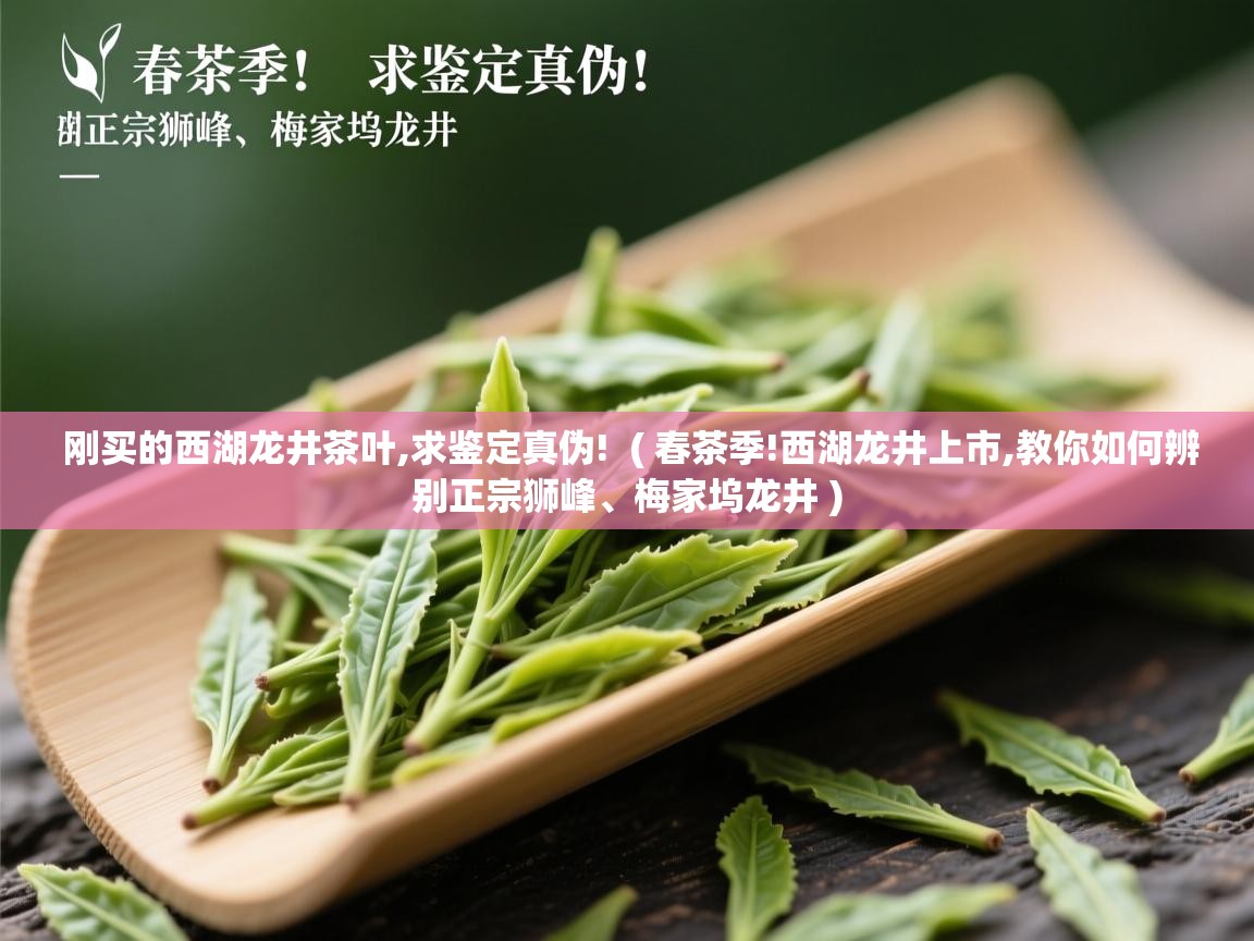  刚买的西湖龙井茶叶,求鉴定真伪!  ( 春茶季!西湖龙井上市,教你如何辨别正宗狮峰、梅家坞龙井 )