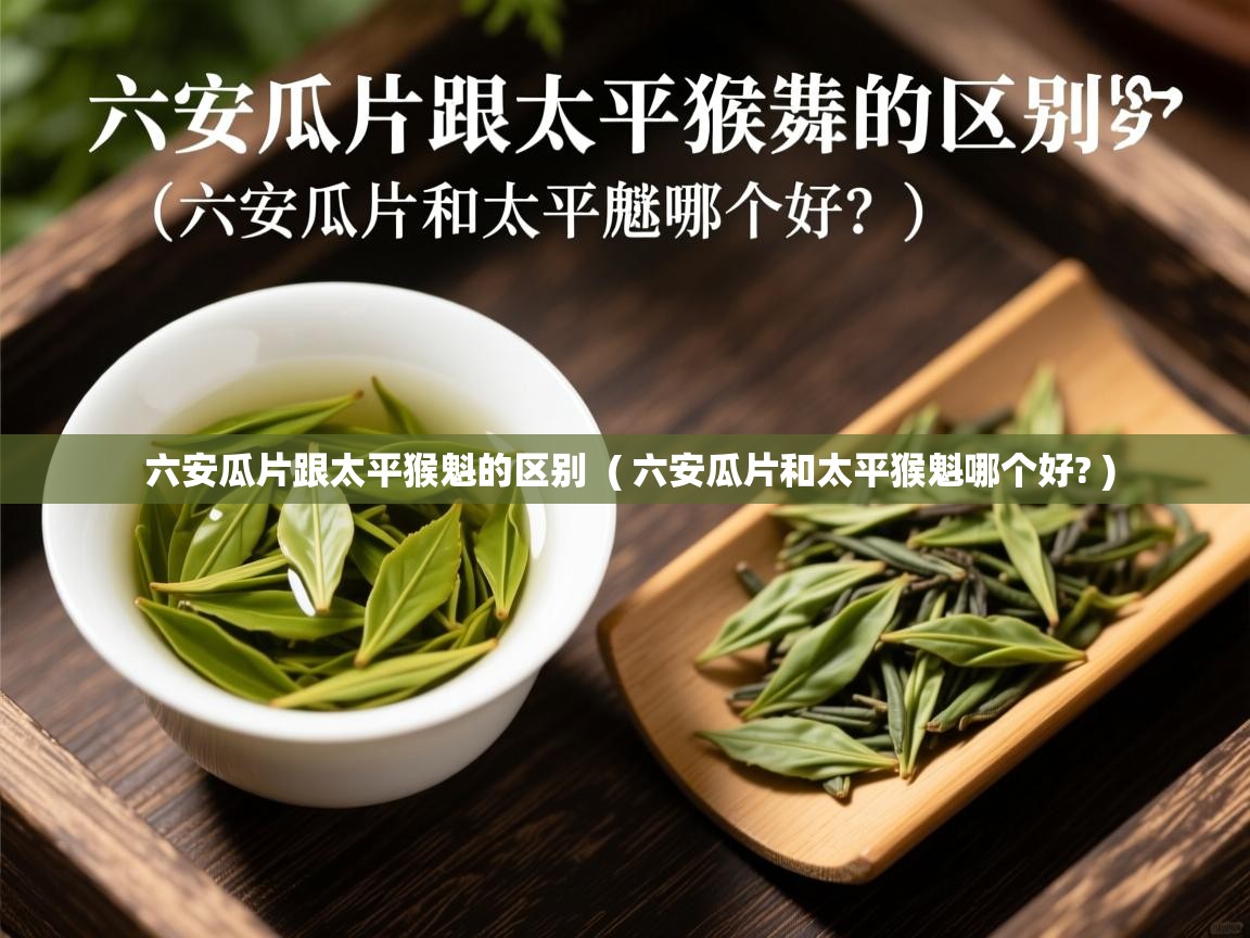  六安瓜片跟太平猴魁的区别  ( 六安瓜片和太平猴魁哪个好? )