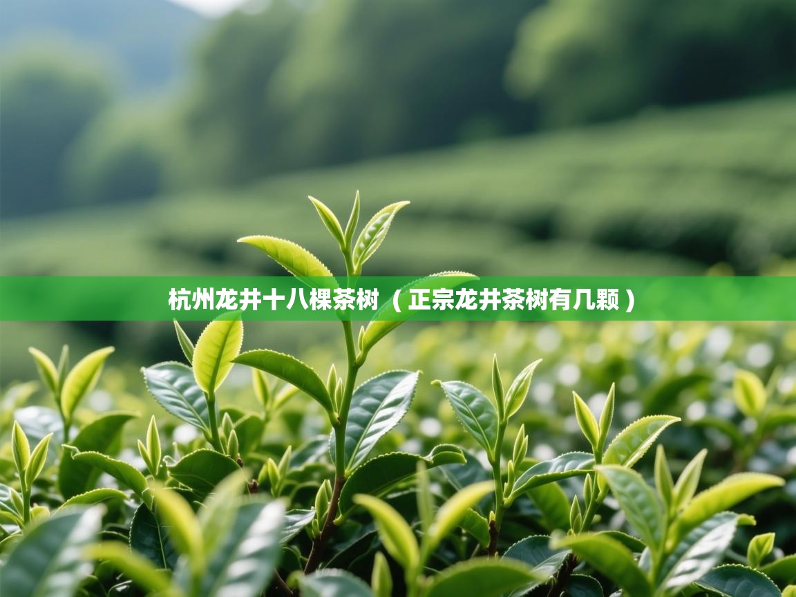  杭州龙井十八棵茶树  ( 正宗龙井茶树有几颗 )