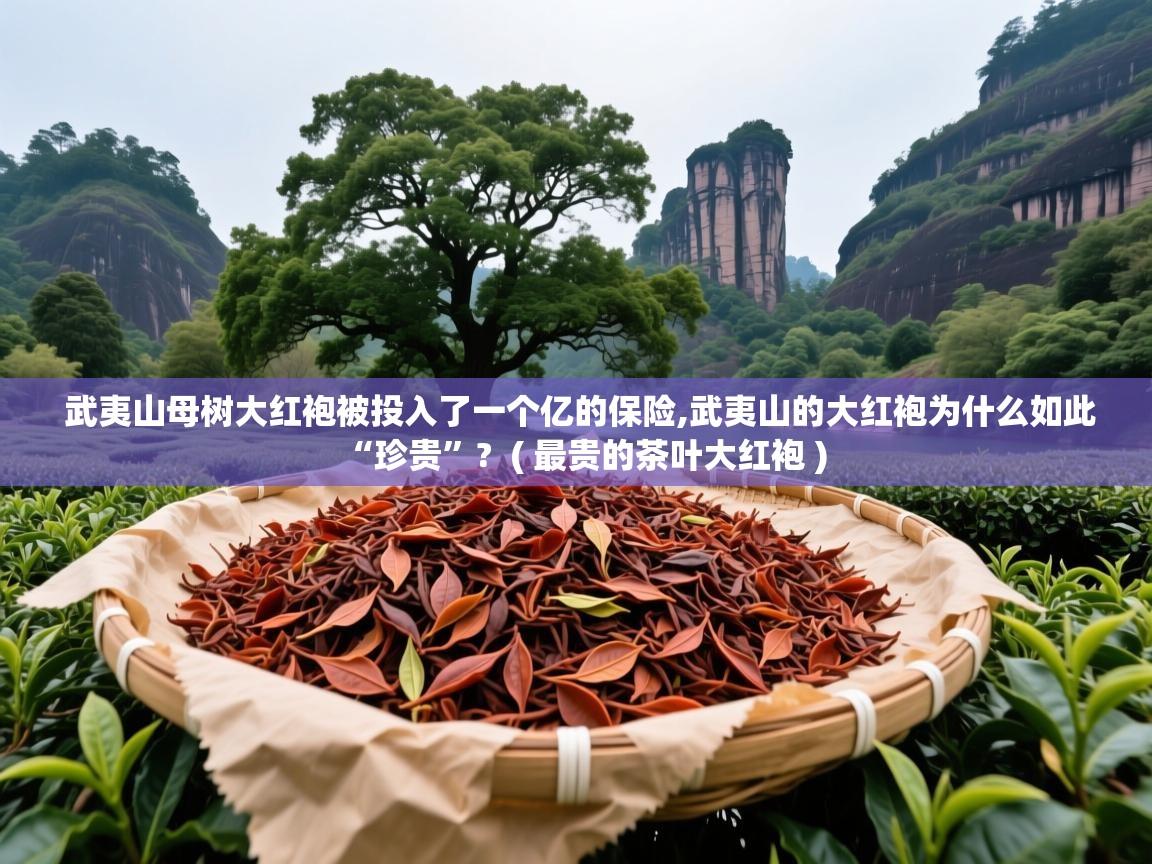  武夷山母树大红袍被投入了一个亿的保险,武夷山的大红袍为什么如此“珍贵”?  ( 最贵的茶叶大红袍 )