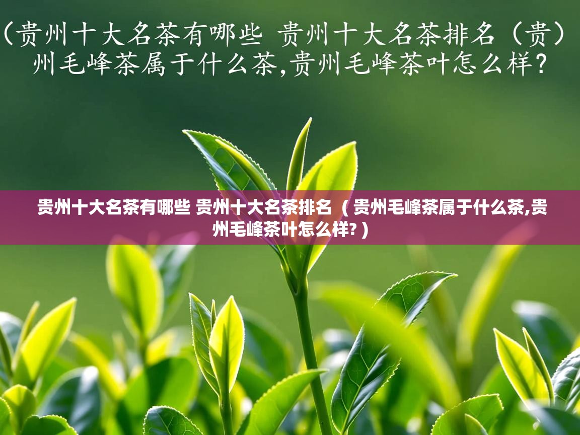  贵州十大名茶有哪些 贵州十大名茶排名  ( 贵州毛峰茶属于什么茶,贵州毛峰茶叶怎么样? )