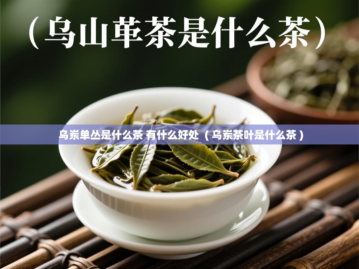  乌岽单丛是什么茶 有什么好处  ( 乌岽茶叶是什么茶 )