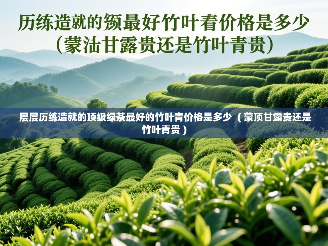  层层历练造就的顶级绿茶最好的竹叶青价格是多少  ( 蒙顶甘露贵还是竹叶青贵 )