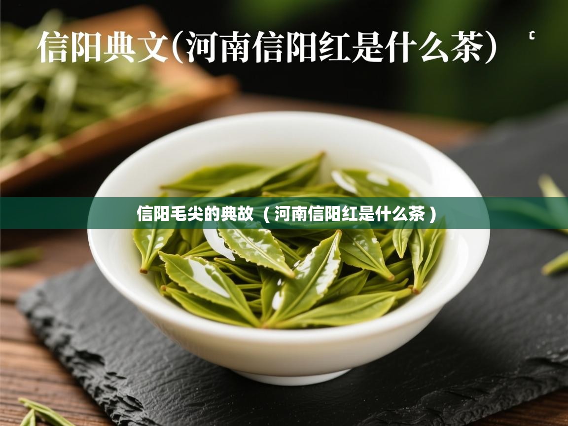  信阳毛尖的典故  ( 河南信阳红是什么茶 )