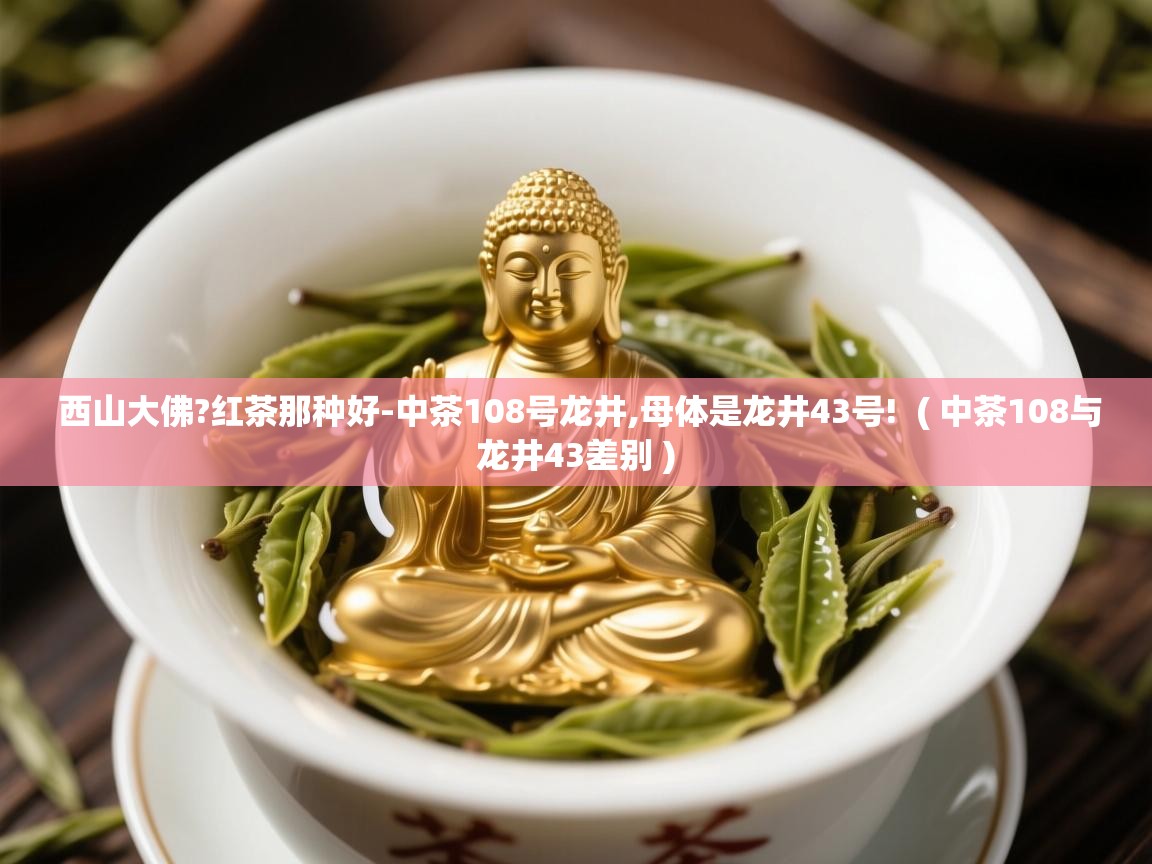  西山大佛?红茶那种好-中茶108号龙井,母体是龙井43号!  ( 中茶108与龙井43差别 )