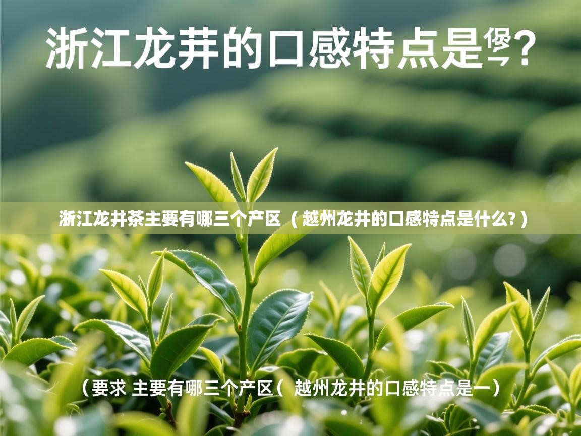  浙江龙井茶主要有哪三个产区  ( 越州龙井的口感特点是什么? )