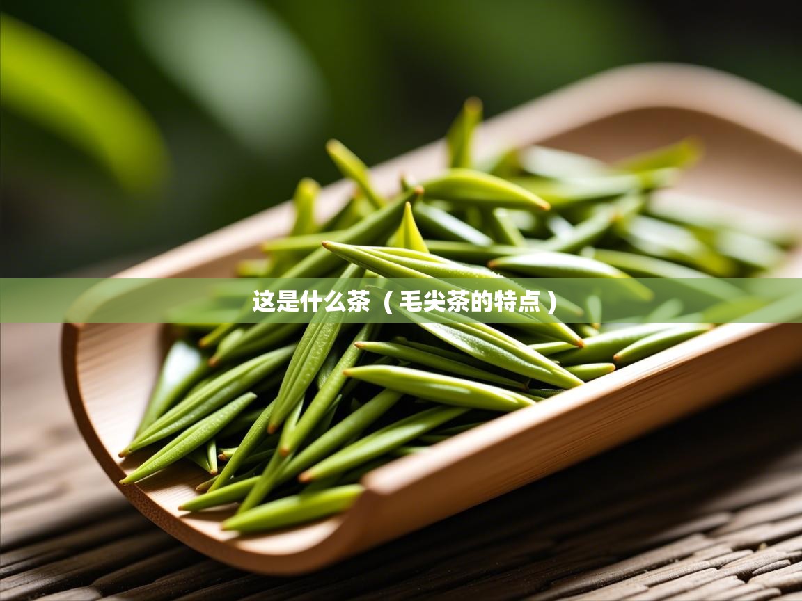  这是什么茶  ( 毛尖茶的特点 )