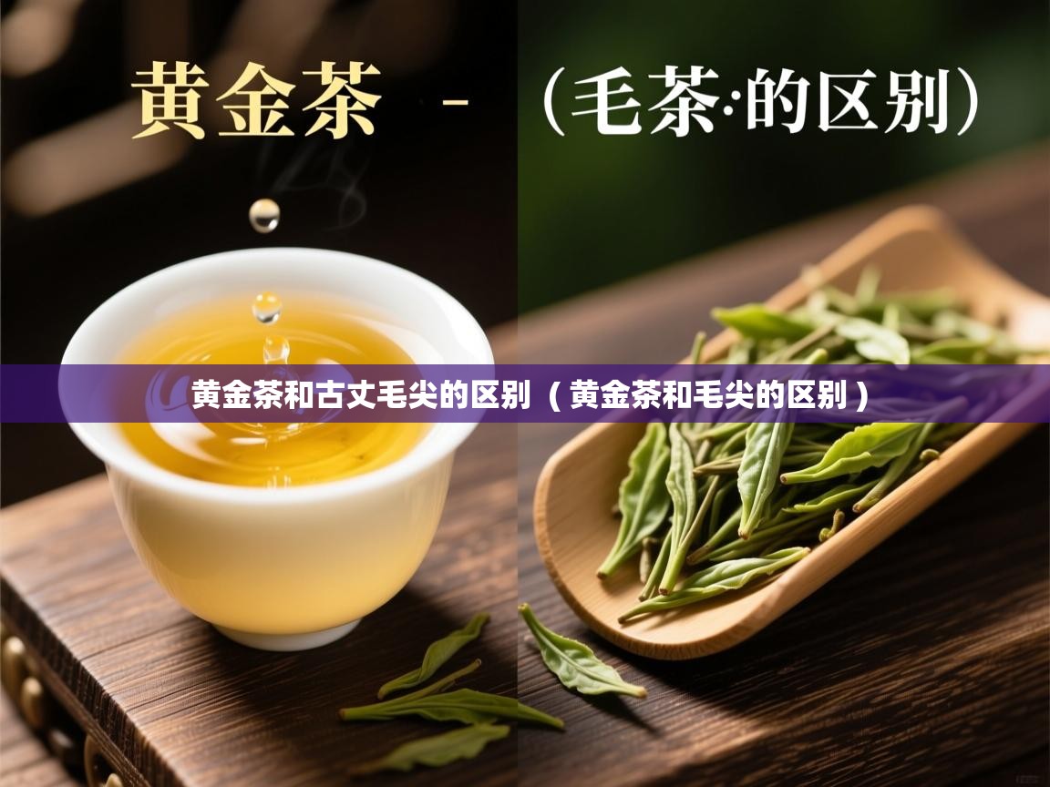  黄金茶和古丈毛尖的区别  ( 黄金茶和毛尖的区别 )