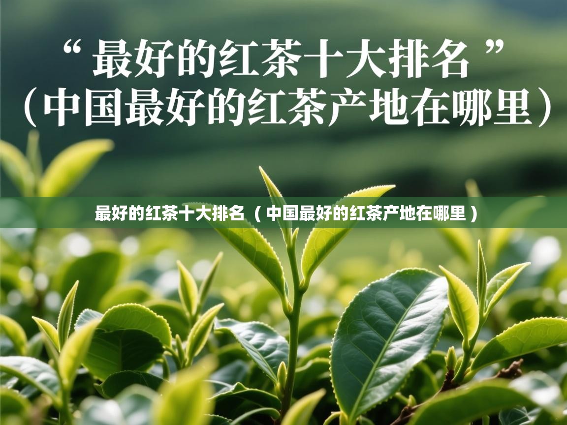  最好的红茶十大排名  ( 中国最好的红茶产地在哪里 )
