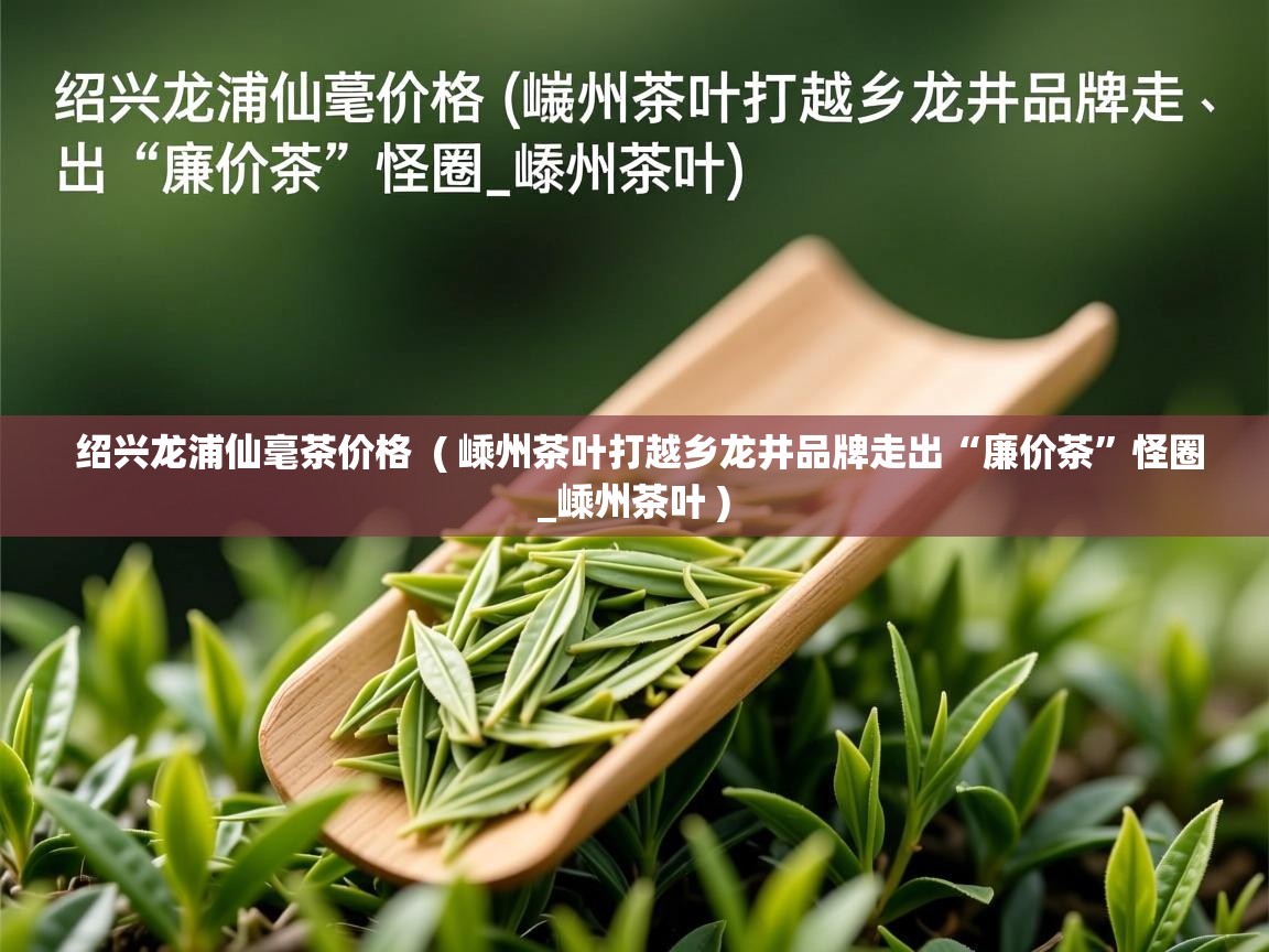  绍兴龙浦仙毫茶价格  ( 嵊州茶叶打越乡龙井品牌走出“廉价茶”怪圈_嵊州茶叶 )