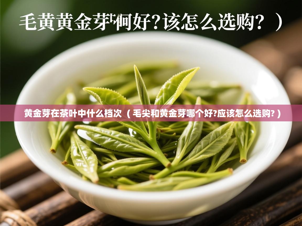  黄金芽在茶叶中什么档次  ( 毛尖和黄金芽哪个好?应该怎么选购? )