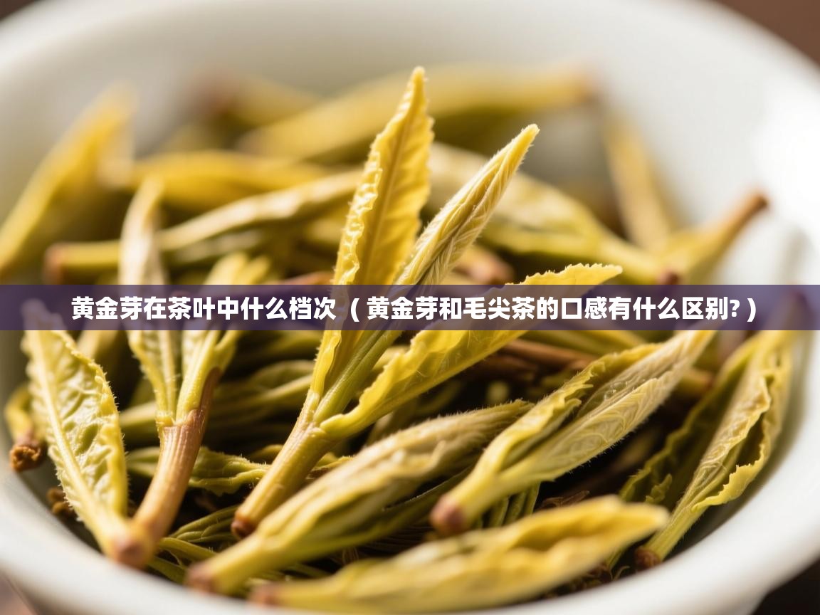  黄金芽在茶叶中什么档次  ( 黄金芽和毛尖茶的口感有什么区别? )