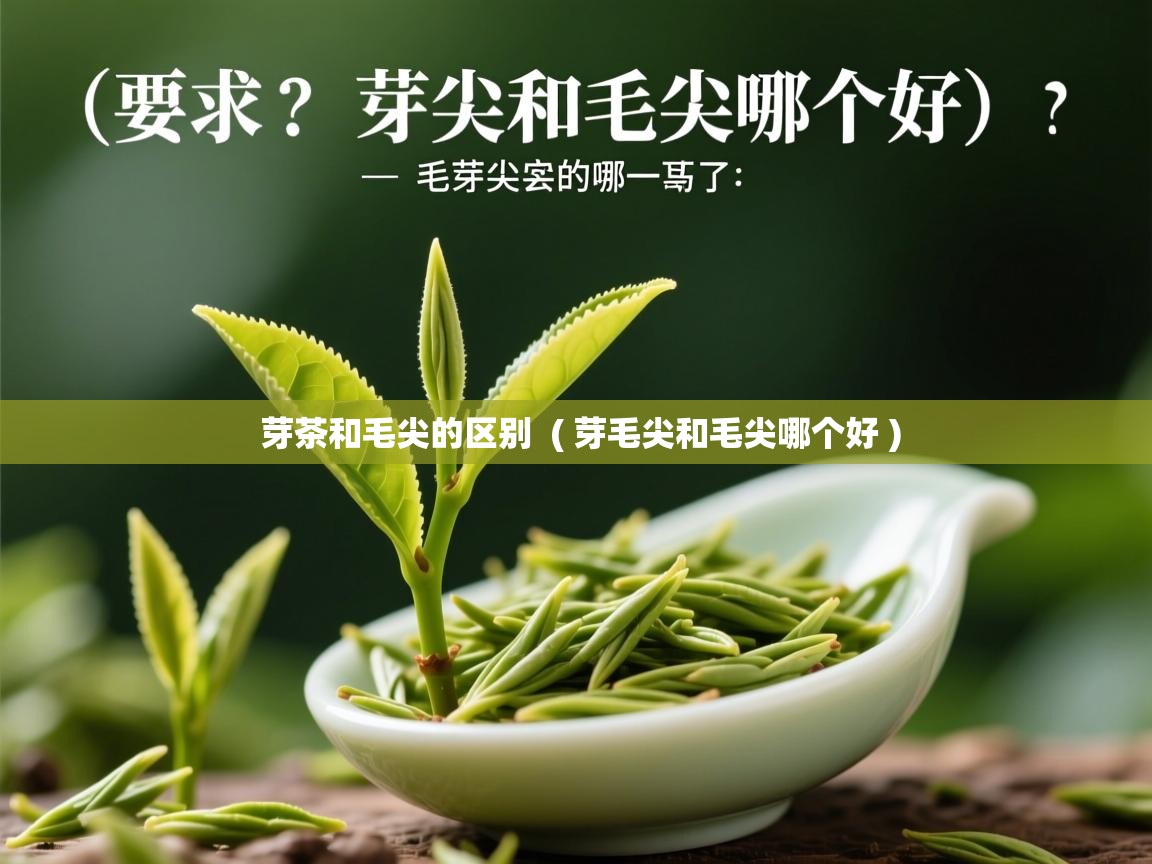  芽茶和毛尖的区别  ( 芽毛尖和毛尖哪个好 )