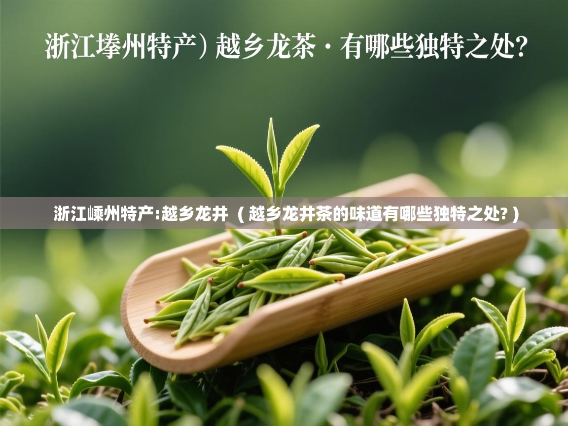  浙江嵊州特产:越乡龙井  ( 越乡龙井茶的味道有哪些独特之处? )