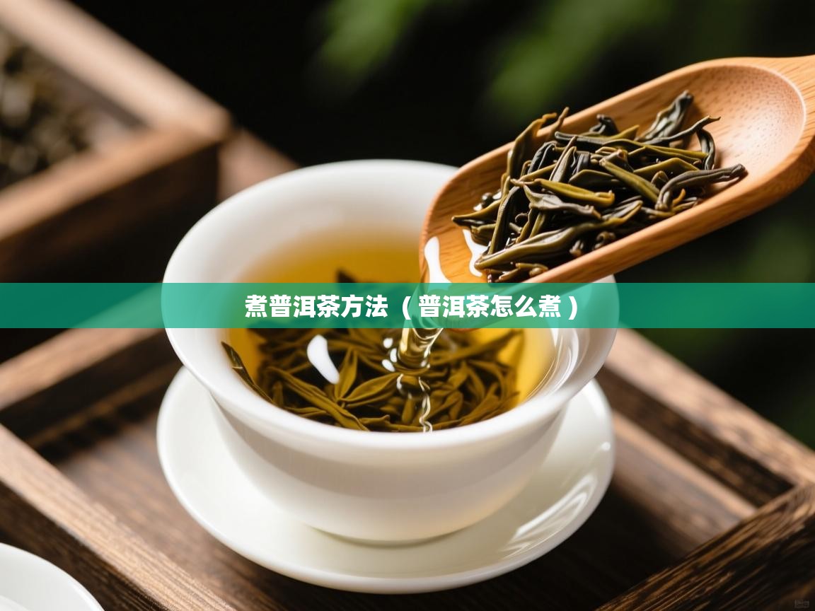  煮普洱茶方法  ( 普洱茶怎么煮 )