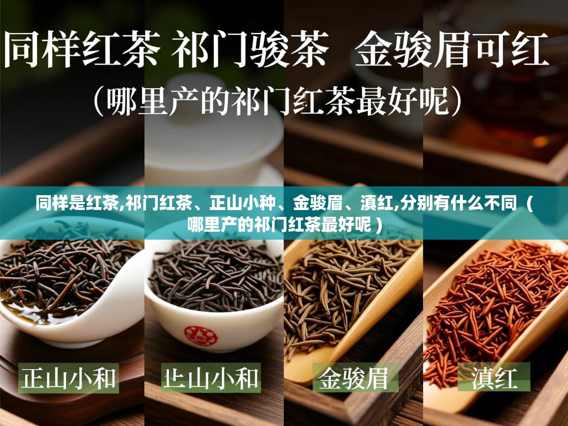  同样是红茶,祁门红茶、正山小种、金骏眉、滇红,分别有什么不同  ( 哪里产的祁门红茶最好呢 )