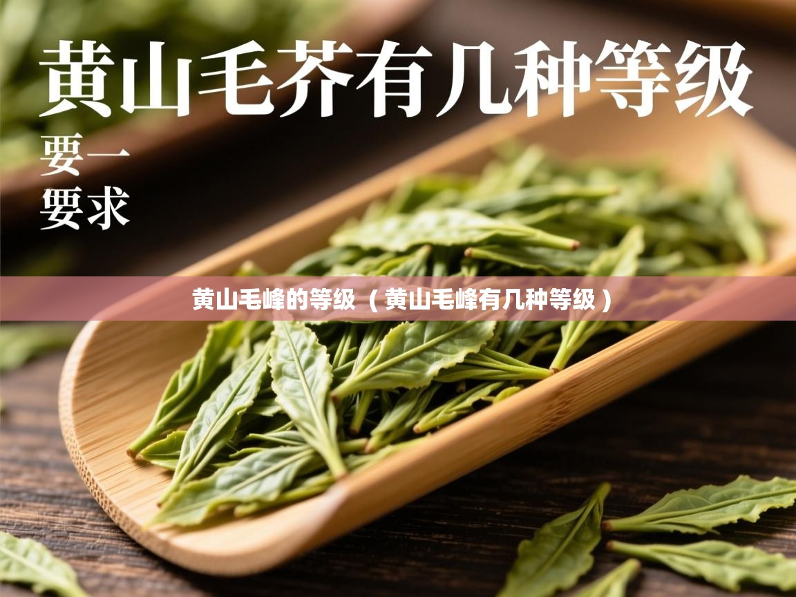  黄山毛峰的等级  ( 黄山毛峰有几种等级 )