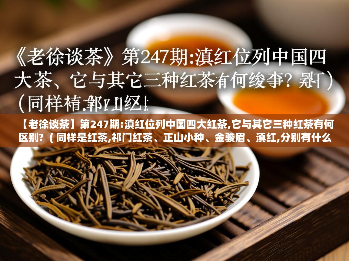  【老徐谈茶】第247期:滇红位列中国四大红茶,它与其它三种红茶有何区别?  ( 同样是红茶,祁门红茶、正山小种、金骏眉、滇红,分别有什么不同 )