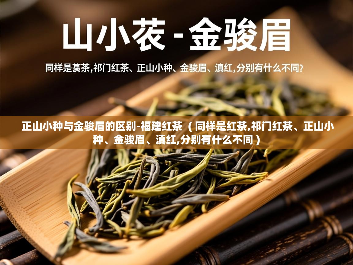  正山小种与金骏眉的区别-福建红茶  ( 同样是红茶,祁门红茶、正山小种、金骏眉、滇红,分别有什么不同 )