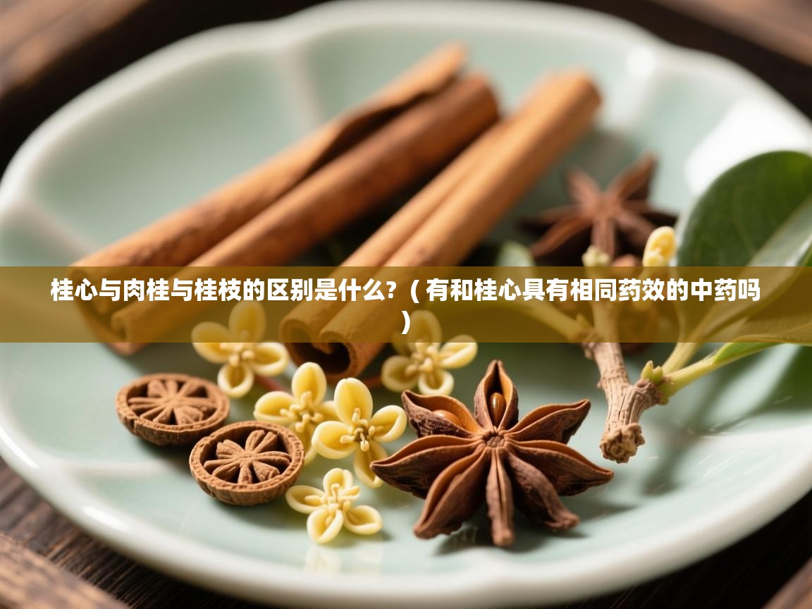  桂心与肉桂与桂枝的区别是什么?  ( 有和桂心具有相同药效的中药吗 )