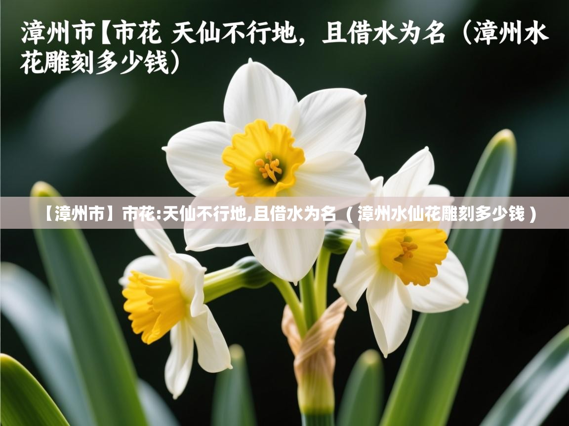  【漳州市】市花:天仙不行地,且借水为名  ( 漳州水仙花雕刻多少钱 )