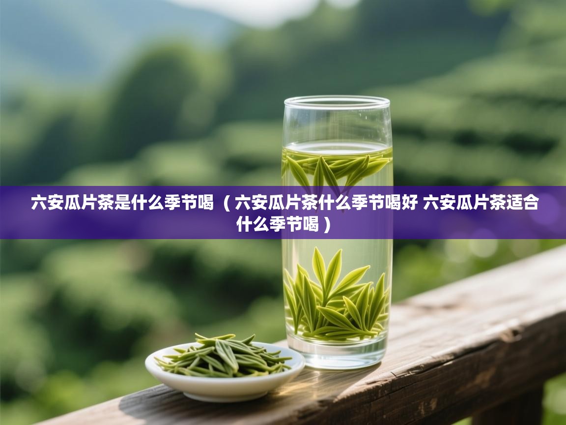  六安瓜片茶是什么季节喝  ( 六安瓜片茶什么季节喝好 六安瓜片茶适合什么季节喝 )