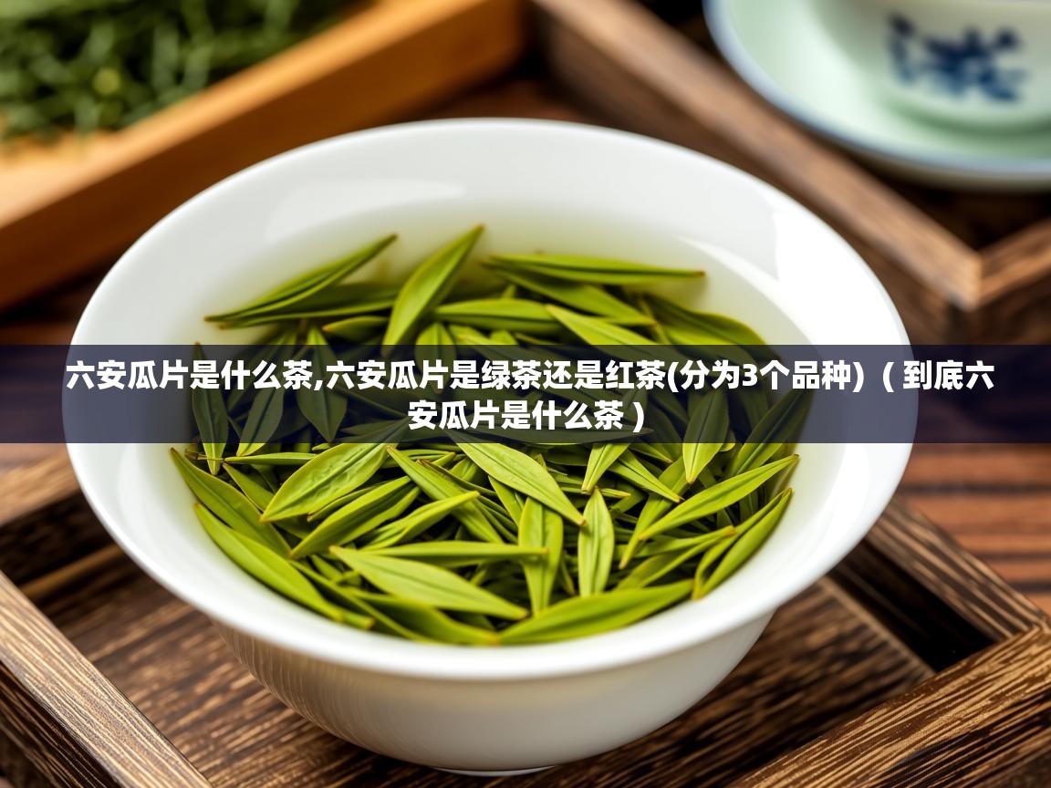  六安瓜片是什么茶,六安瓜片是绿茶还是红茶(分为3个品种)  ( 到底六安瓜片是什么茶 )