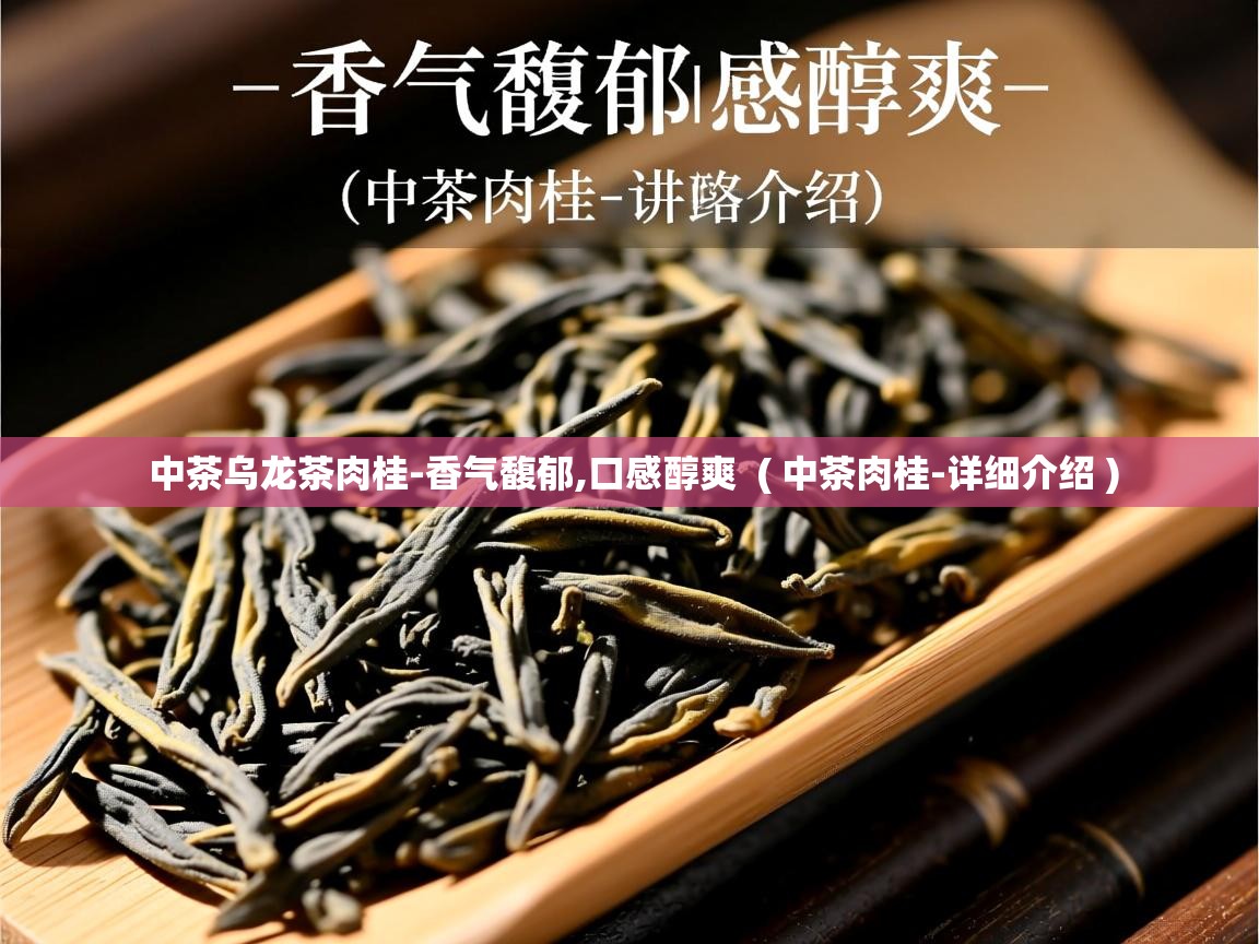  中茶乌龙茶肉桂-香气馥郁,口感醇爽  ( 中茶肉桂-详细介绍 )