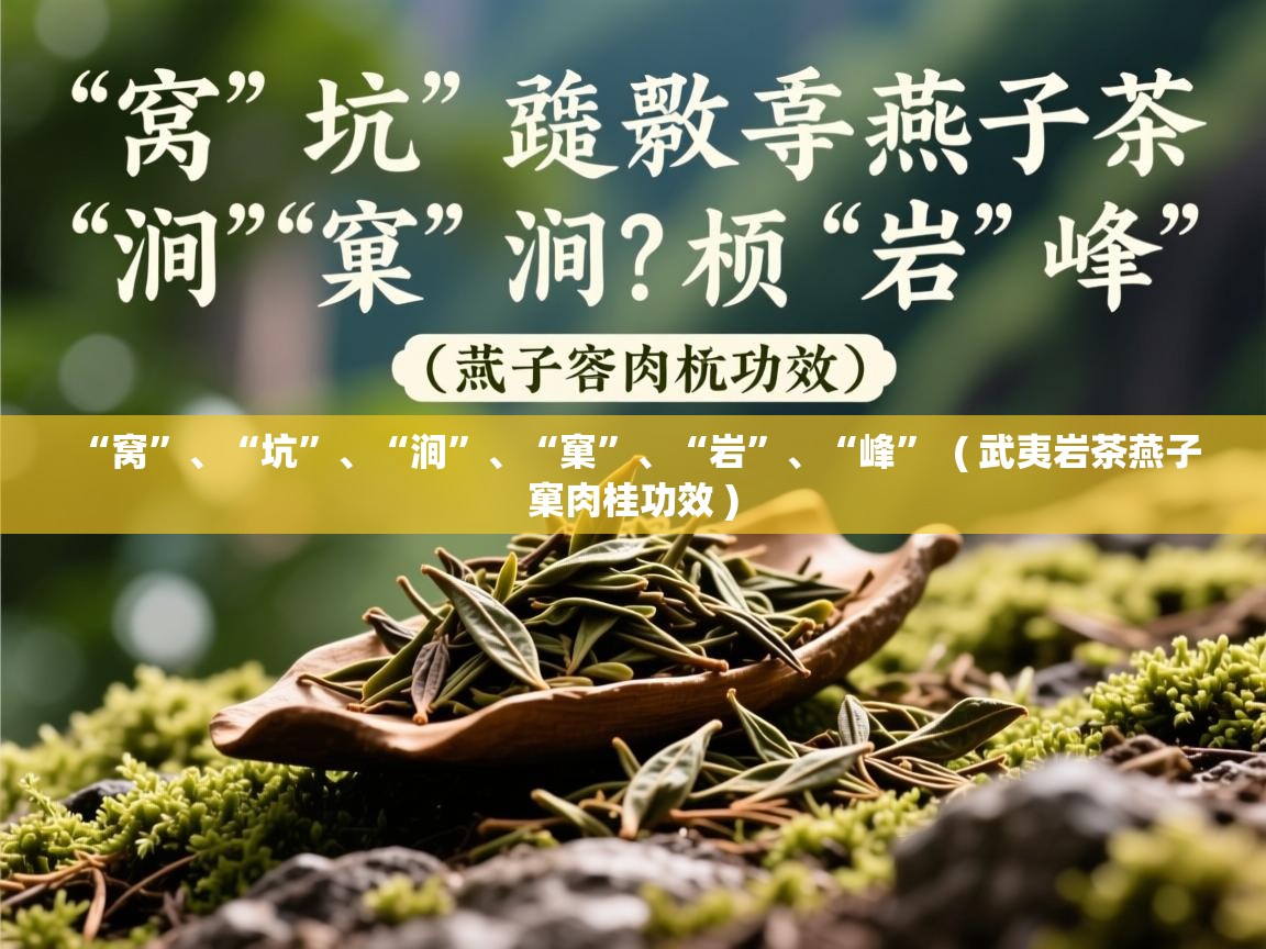  “窝”、“坑”、“涧”、“窠”、“岩”、“峰”  ( 武夷岩茶燕子窠肉桂功效 )